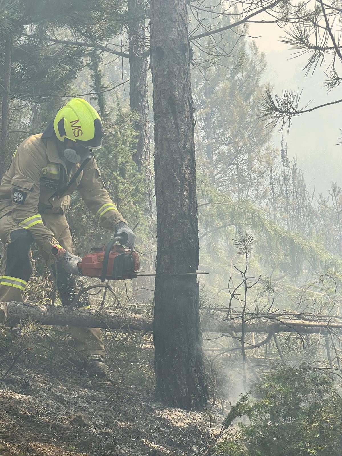 Hungarian firefighters join action in North Macedonia wildfires