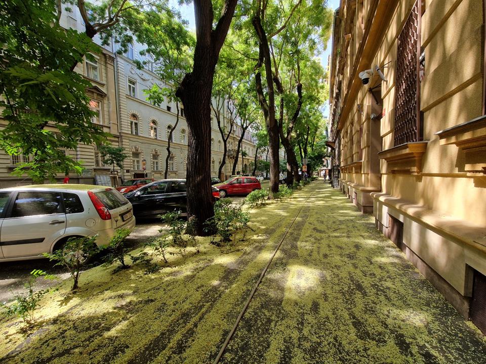 Terézváros Airbnb Budapest