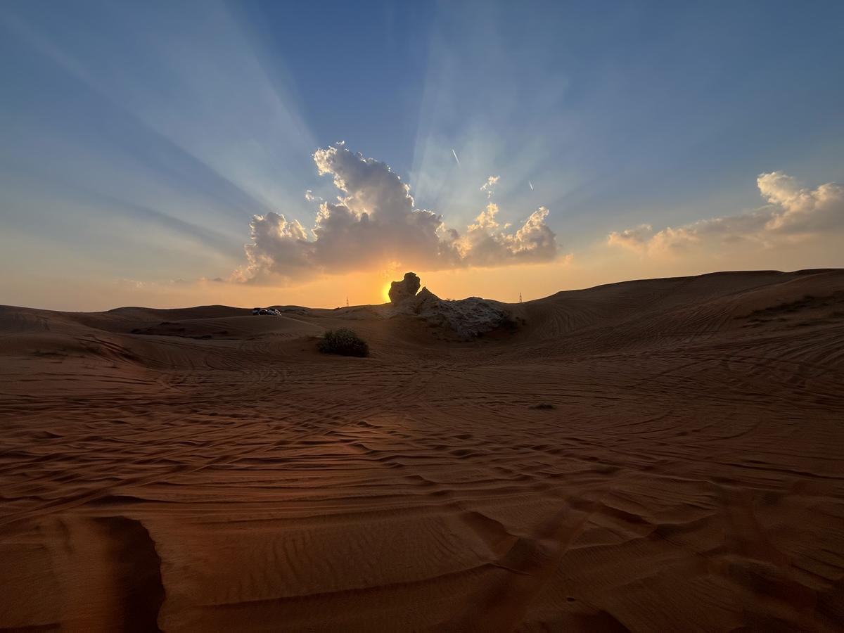 Journey to Sharjah, the cultural capital of the Emirates. Photo: Alpár Kató