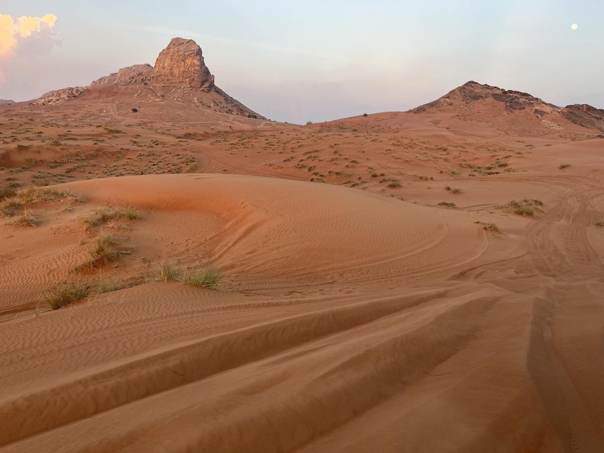 Journey to Sharjah, the cultural capital of the Emirates. Photo: Alpár Kató