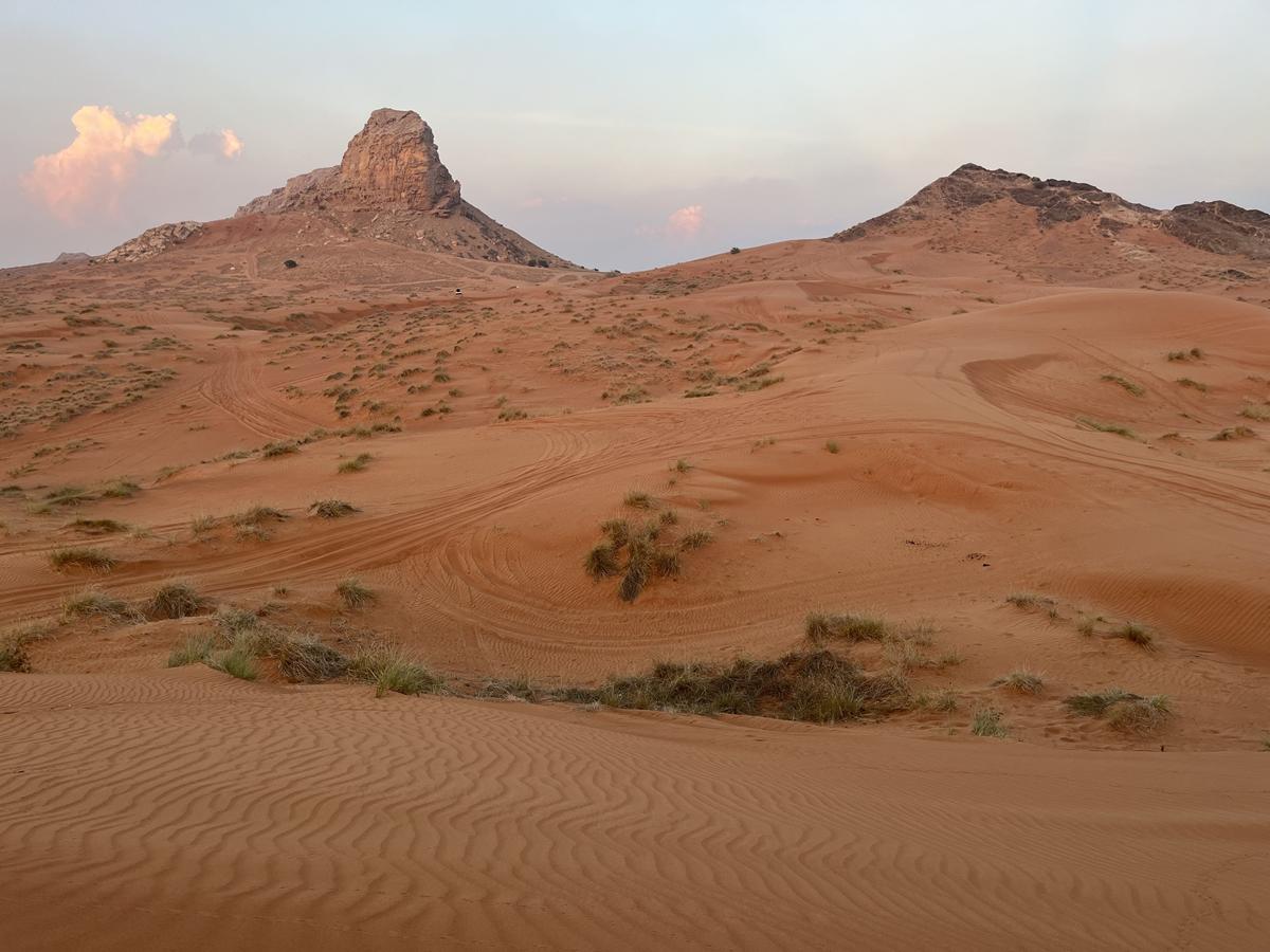 Journey to Sharjah, the cultural capital of the Emirates. Photo: Alpár Kató