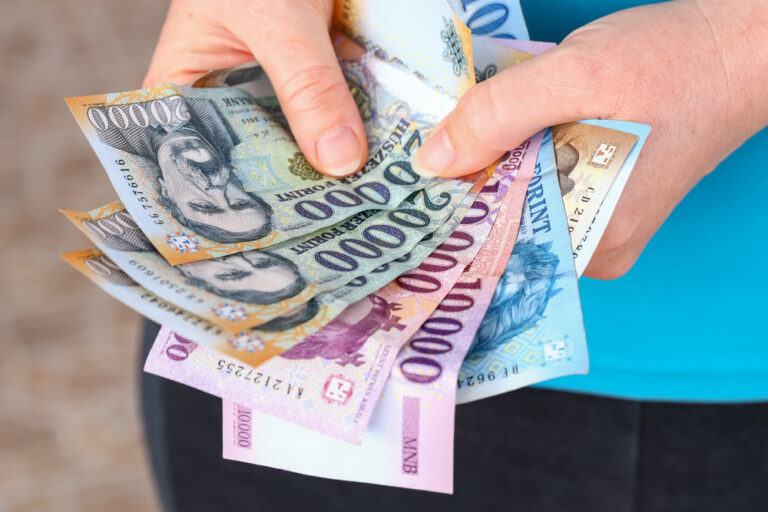 euro forint money 940 EUR/month wage growth