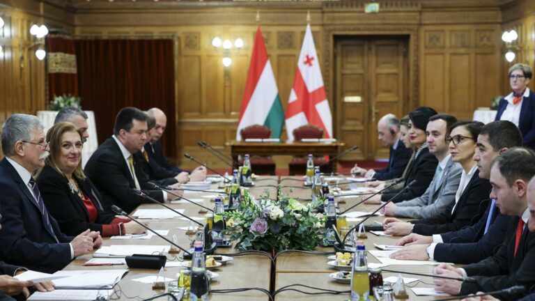 Georgian parliament's speaker Salva Papuasvili held talks in Budapest