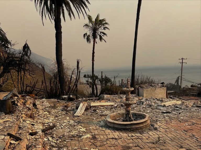 Hungarian top model's house toasted in brutal LA fire