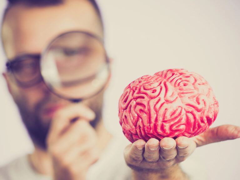 brain