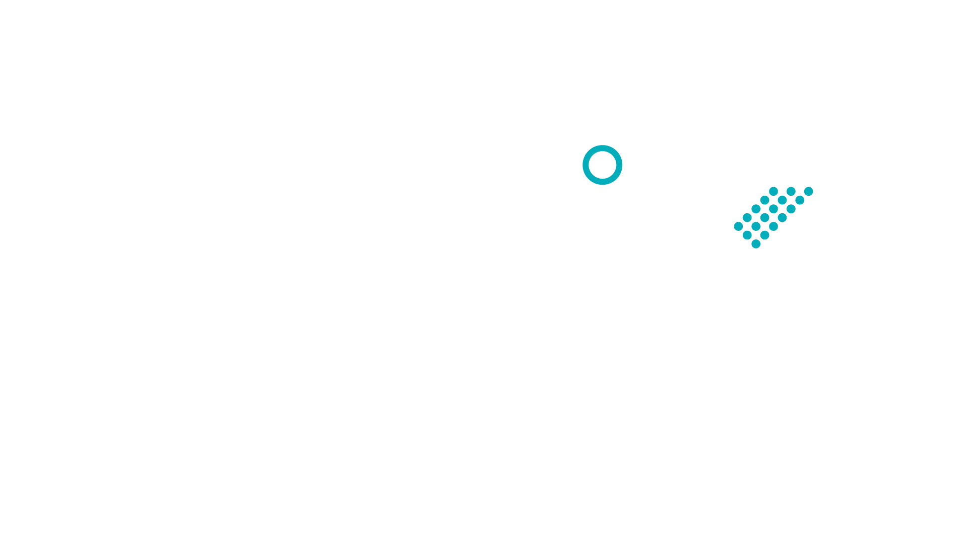 levix_logo