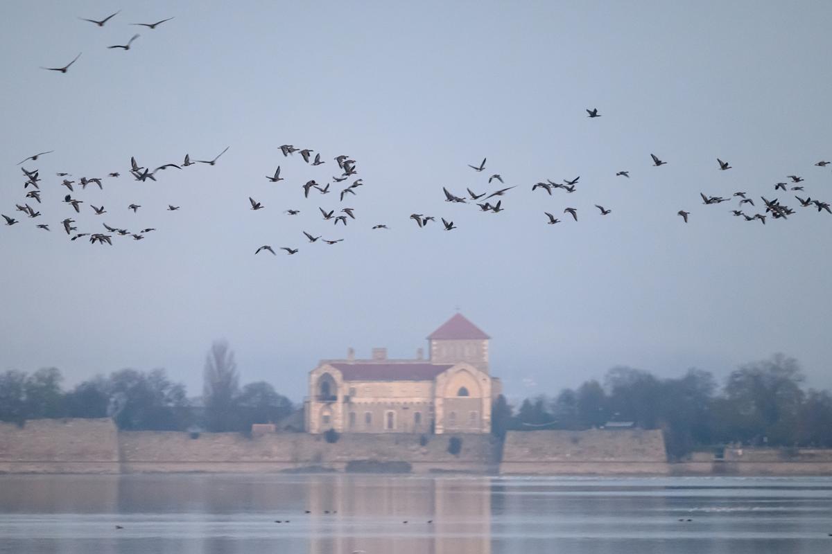 tata hungary winter heat records