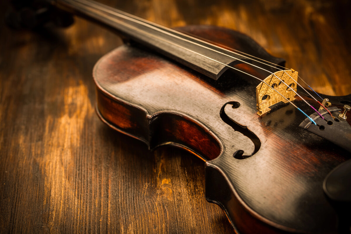 historical relic violin