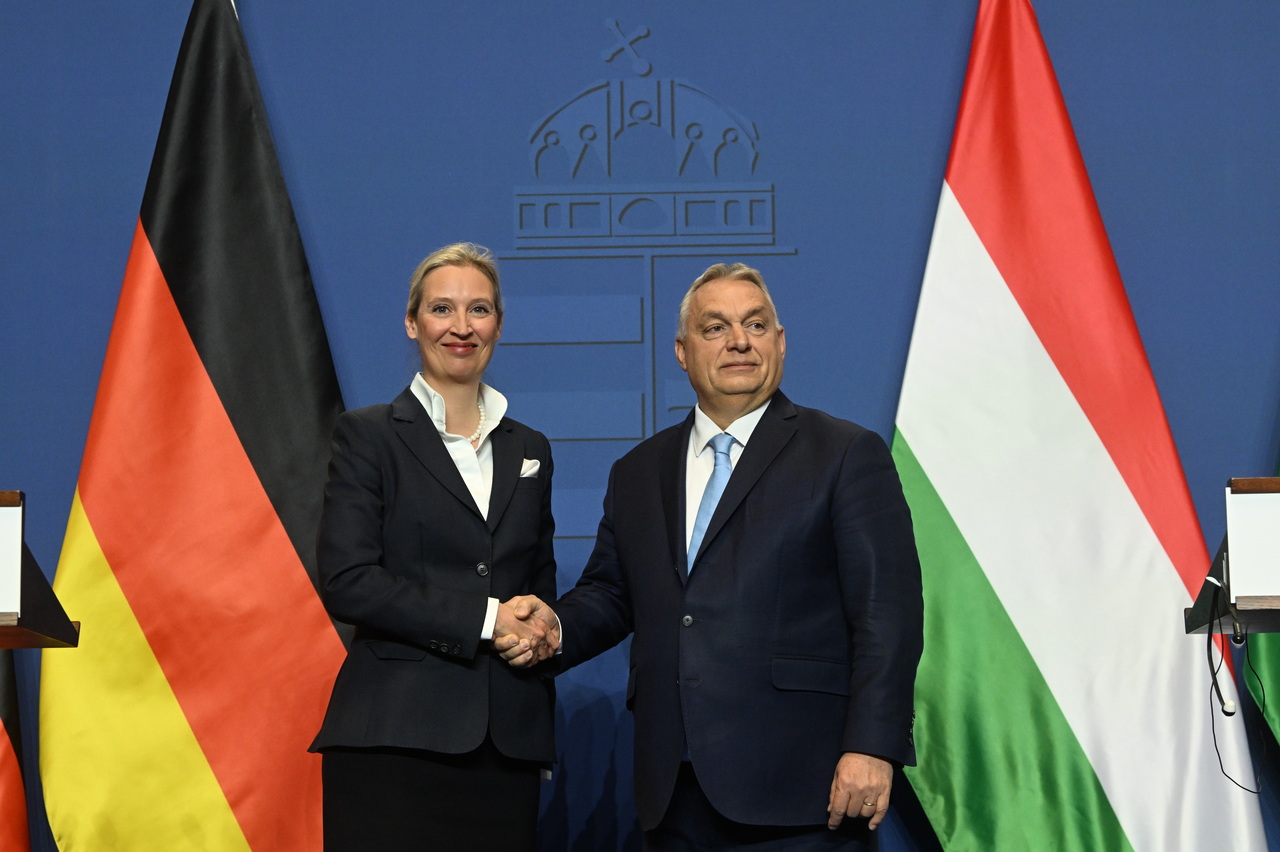 Alice Weidel viktor orbán afd fidesz