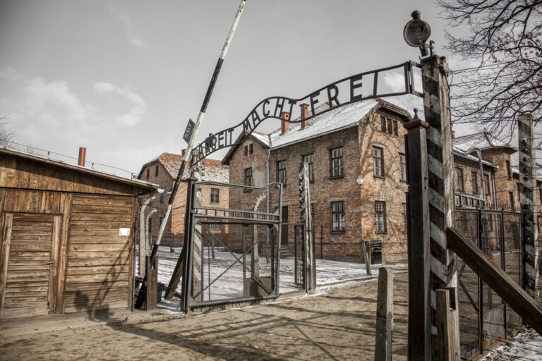 Auschwitz death camp twin experiments