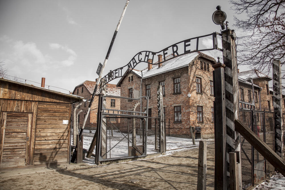 Auschwitz death camp twin experiments
