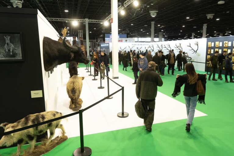 International hunting, fishing fair opened in Budapest