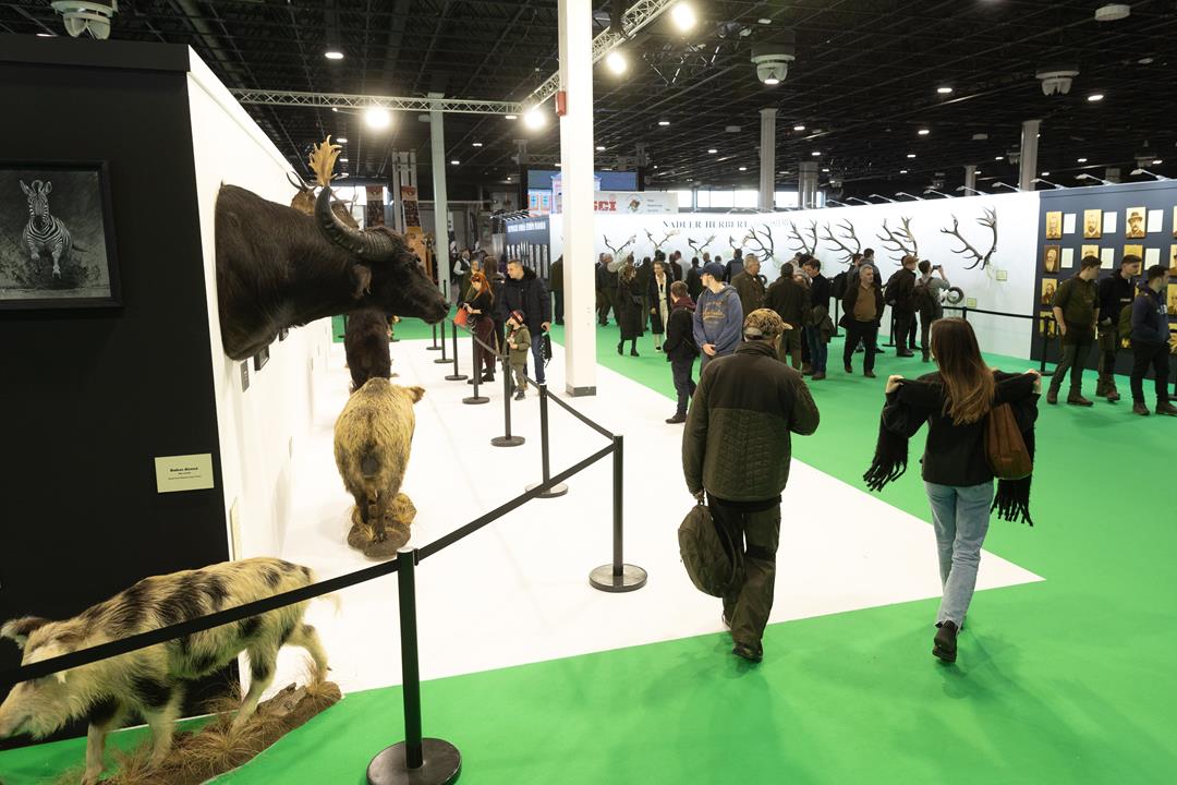 International hunting, fishing fair opened in Budapest