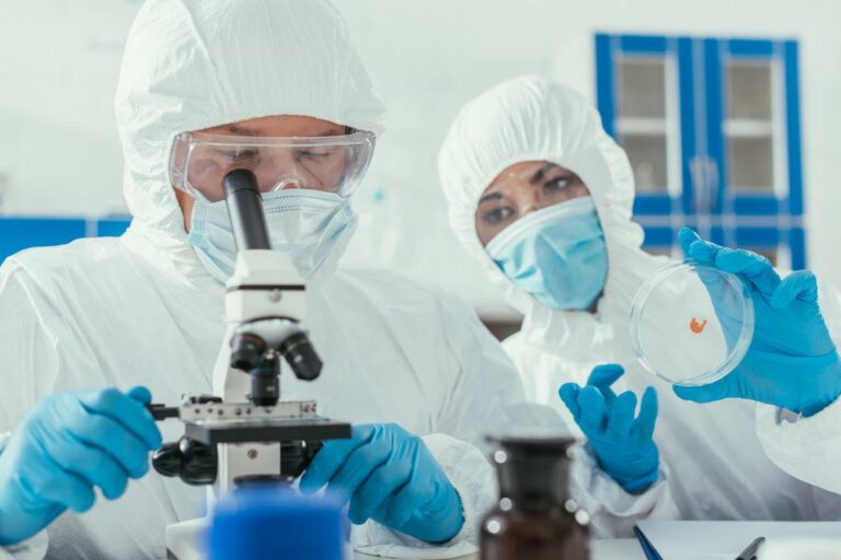 Hungarian university may develop a new miracle drug using Nobel Prize winner herb