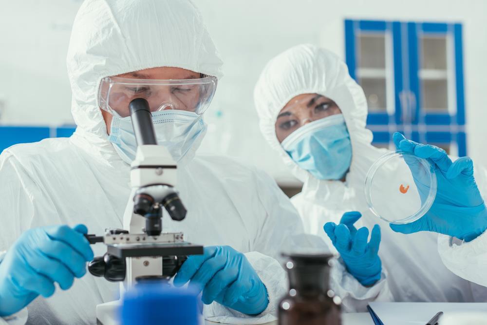 Hungarian university may develop a new miracle drug using Nobel Prize winner herb