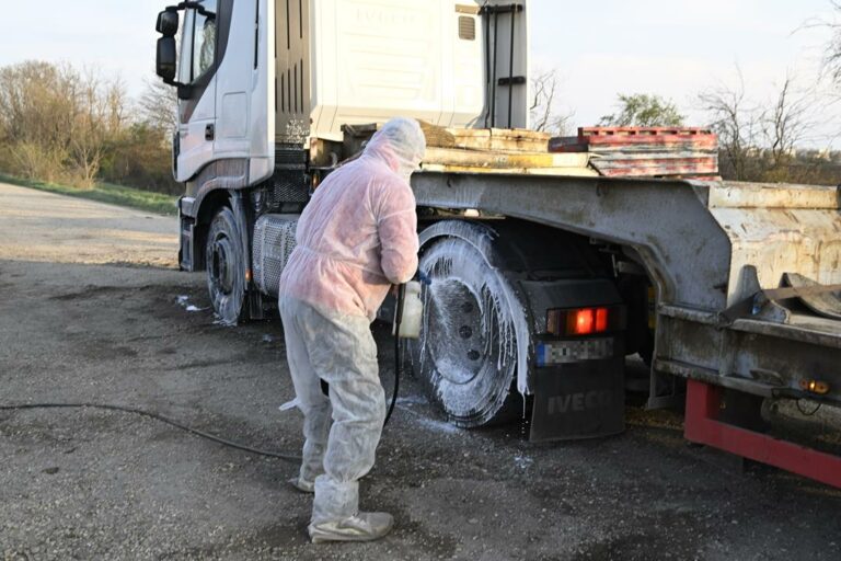 Foot and mouth disease in Hungary