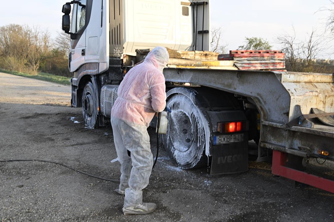 Foot and mouth disease in Hungary