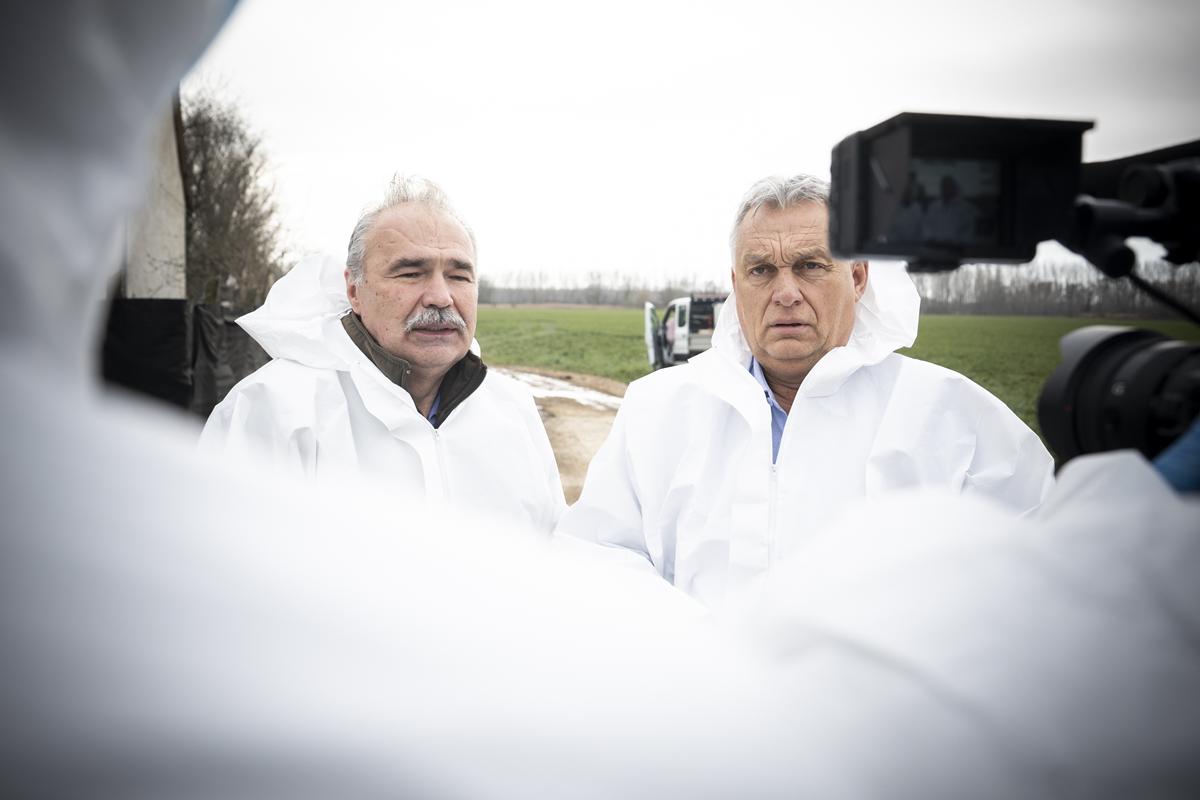 Foot and mouth disease in Hungary guest workers