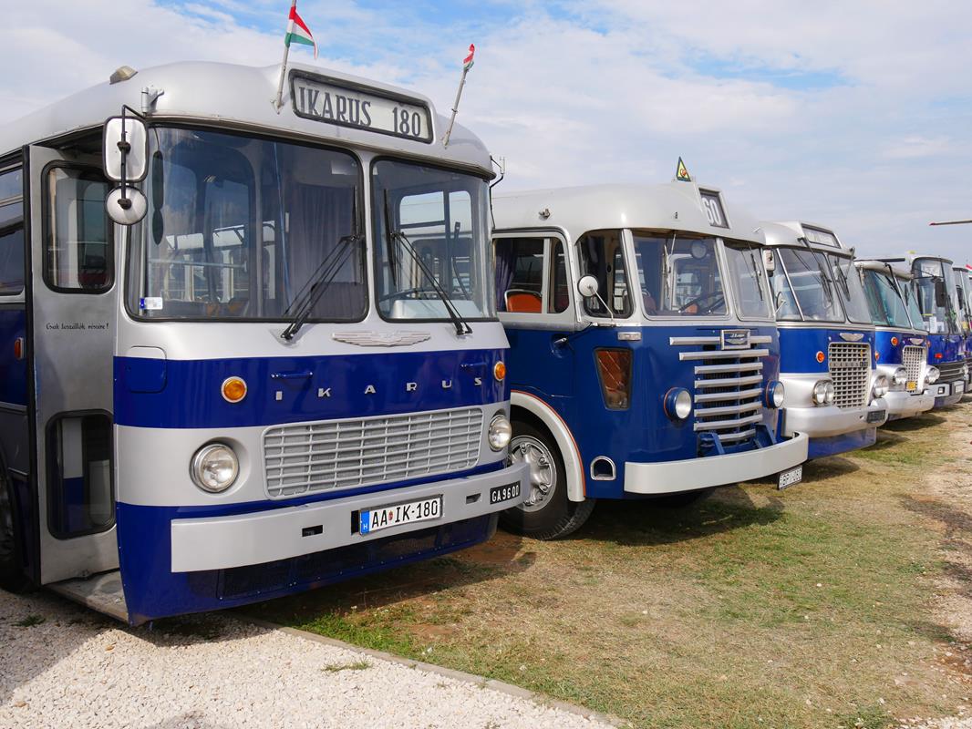Ikarus bus gathering