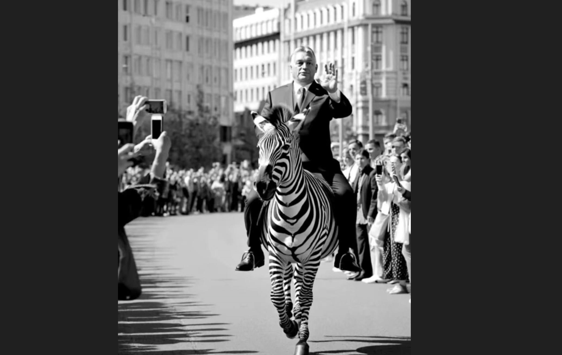 PM Orbán zebra