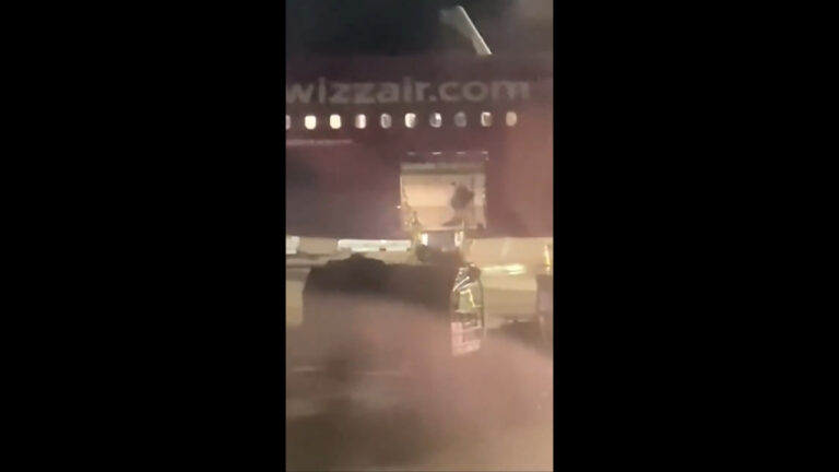 Wizz Air baggage handler