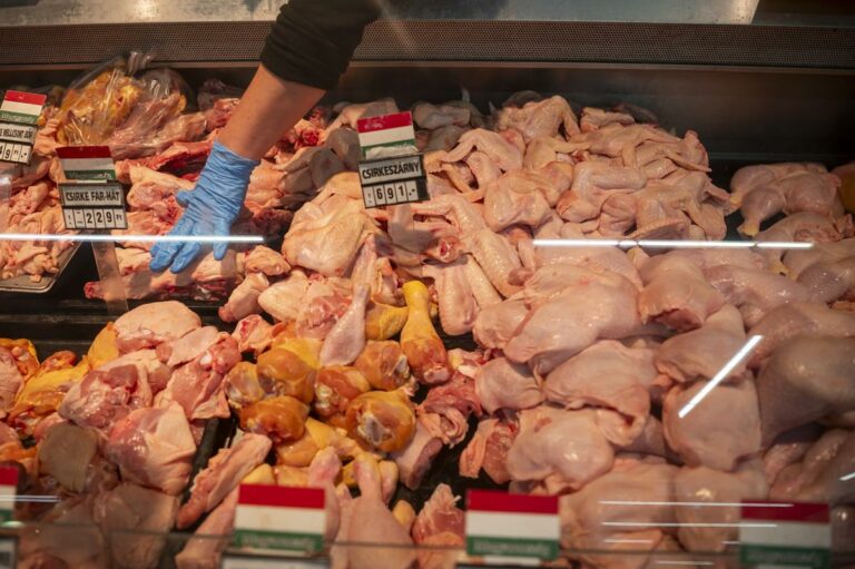 grocery shopping stores price hikes inflation price margin cap
