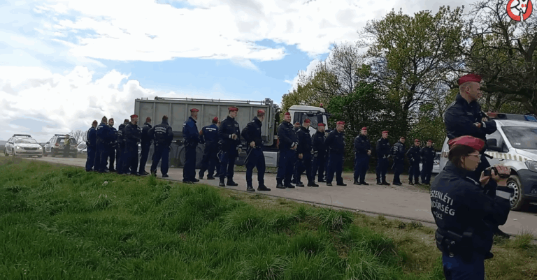 Austrian authorities baffled carcasses in Pereszteg (Copy)