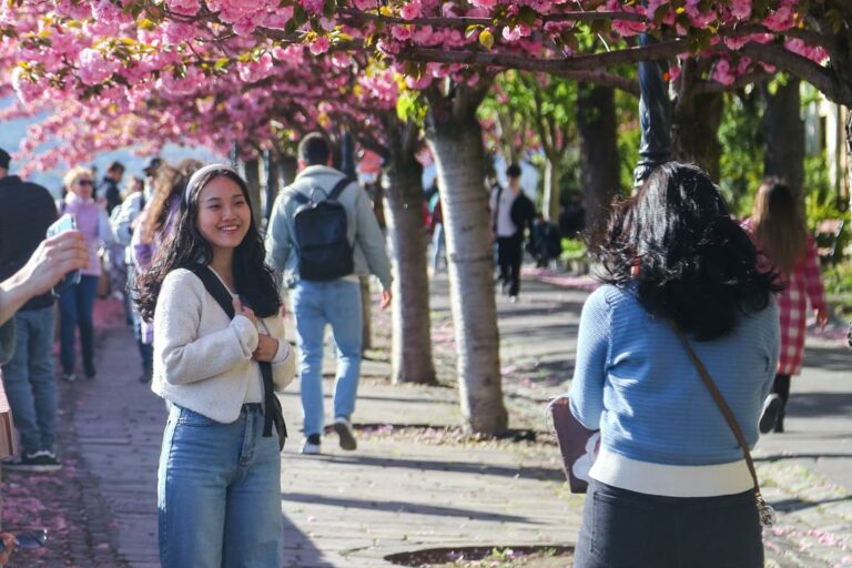One of Budapest's most romantic promenades in Buda Castle hungary news