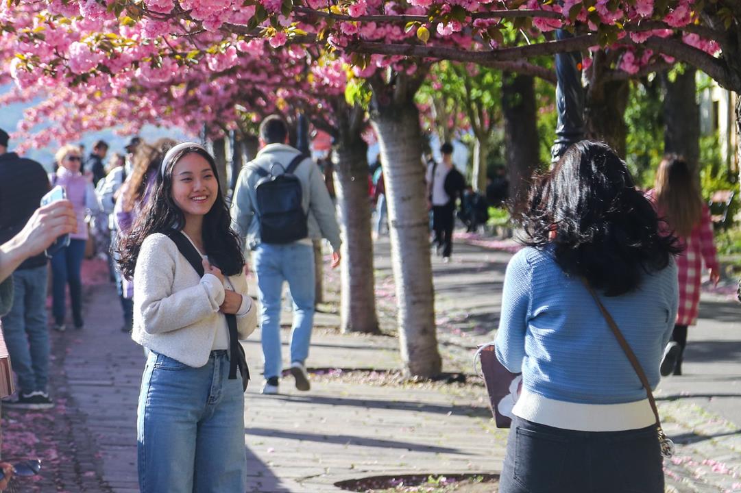 One of Budapest's most romantic promenades in Buda Castle hungary news