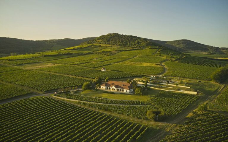 Patricius-Borhaz winery hungary