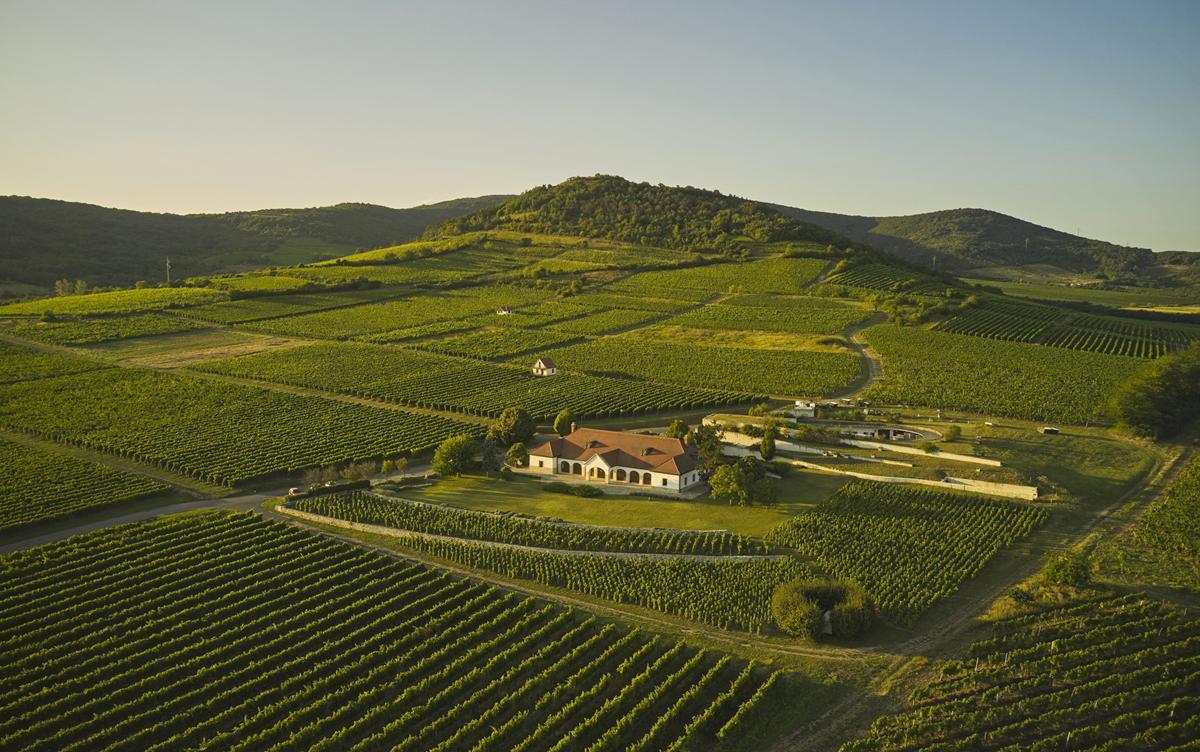 Patricius-Borhaz winery hungary