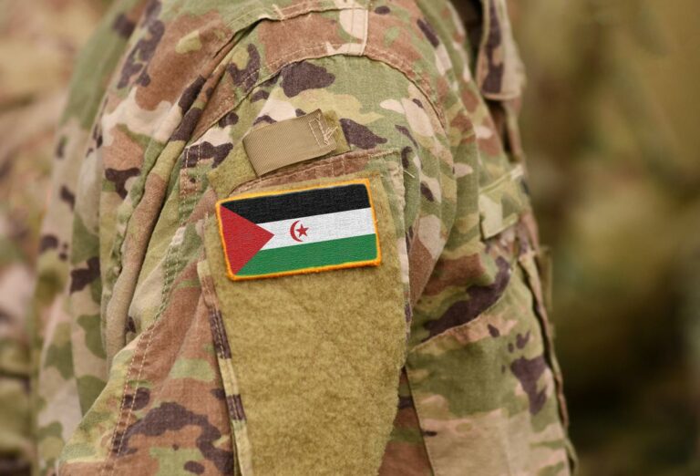 Sadr Polisario Front North Africa terrorist organization