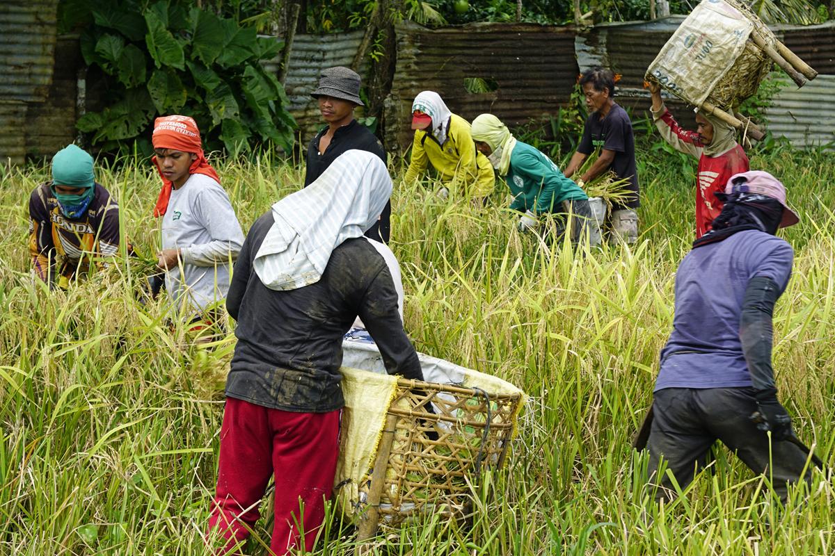filipino workers asia foreign guest workers