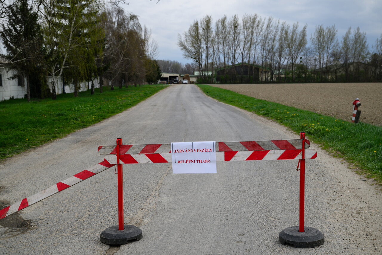 foot-and-mouth disease hungary