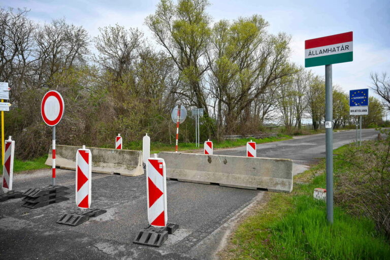 foot-and-mouth disease hungary tests border