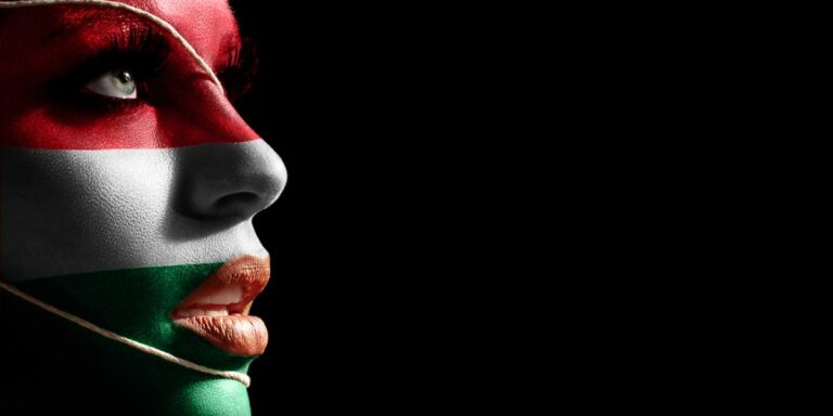 hungary news flag
