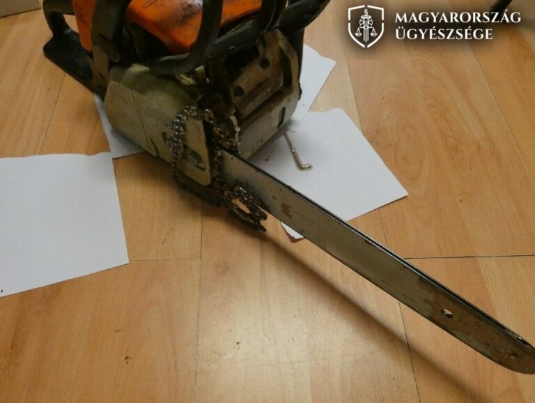 Hungarian man attempted to cut his former employer in two with chainsaw