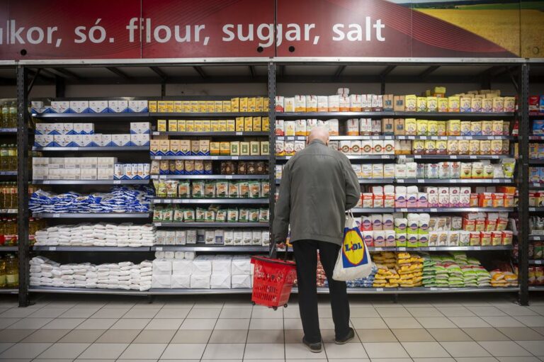 profit margin cap price cap hungary store retail sales markup cap