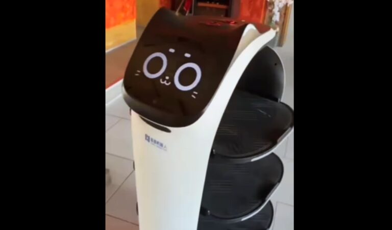 Szálka Fish Tavern Robot