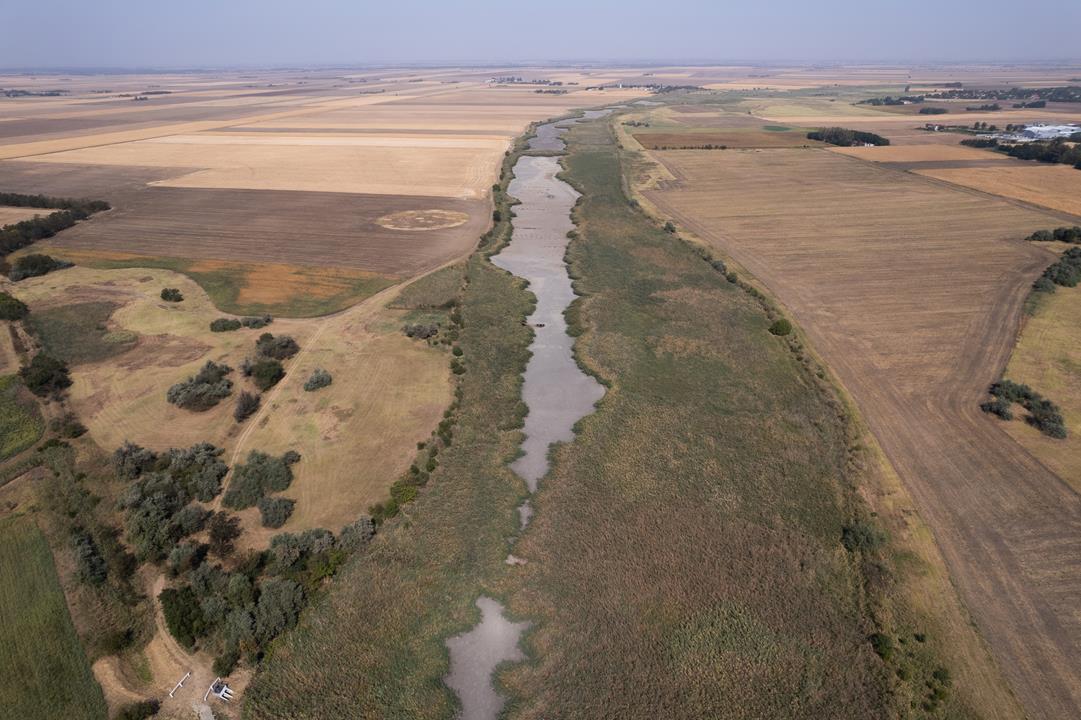 A desert-like area is forming in Central Hungary with tropical, subtropical plants