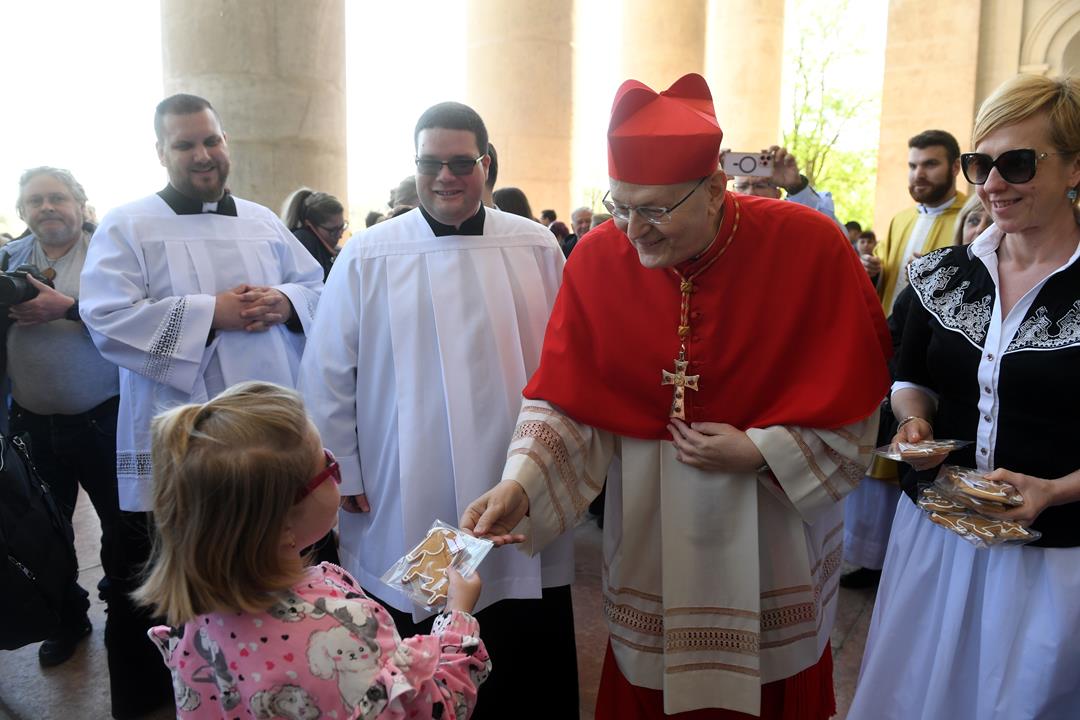 Cardinal Péter Erdő