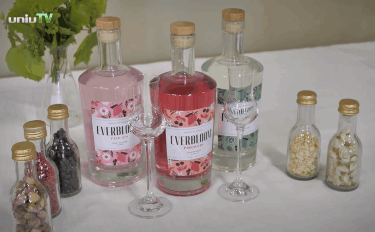 Gin developed at Pécs University (Copy)