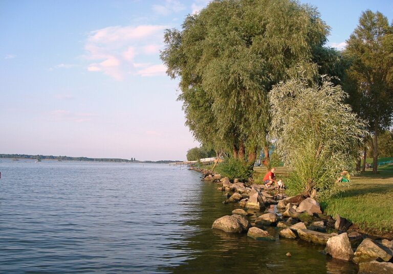 Lake Tisza property