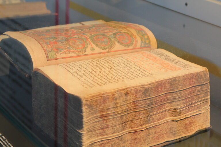 codex illustration