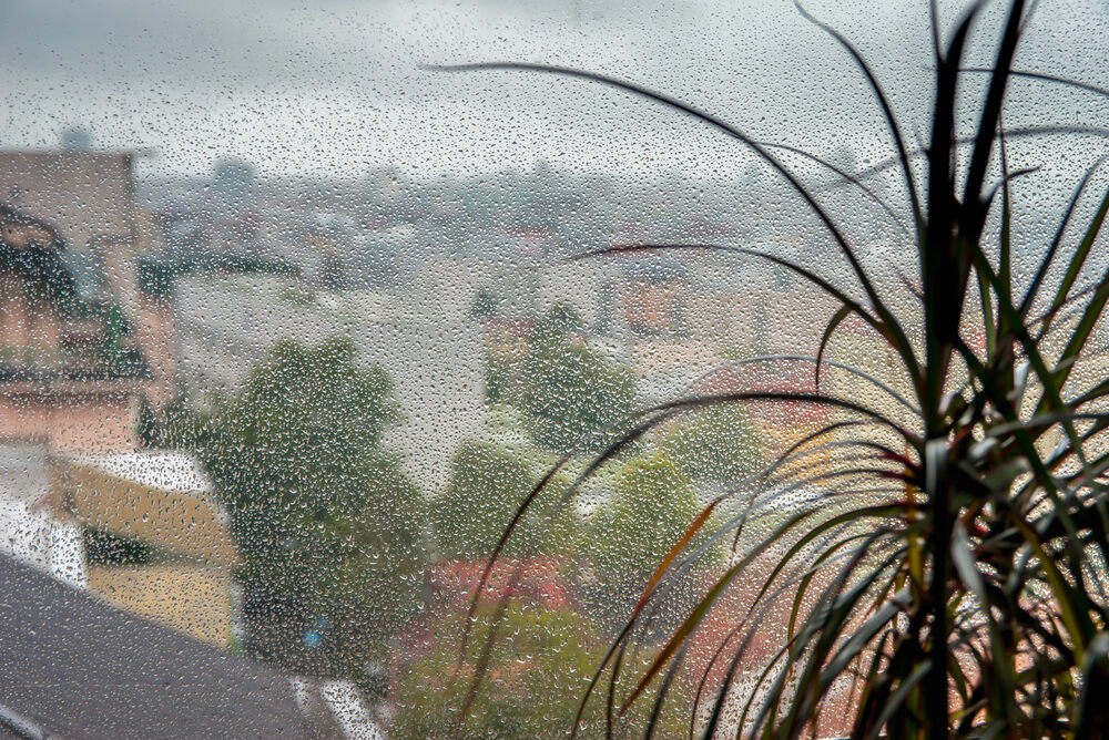 stormy weather summer
