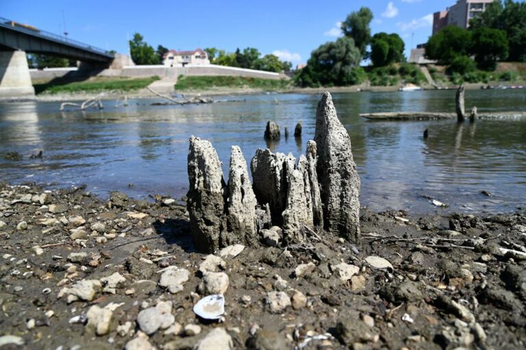 Drought in Hungary news Hungary is bone dry