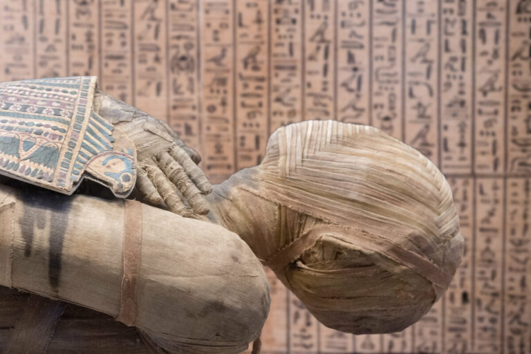 Egyptian mummy plague bacteria ancient history archaeology