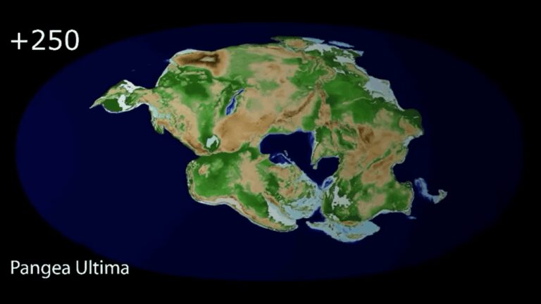 Earth's Next Supercontinent Pangea Proxima