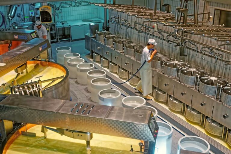 Hungarian cheese factory closes