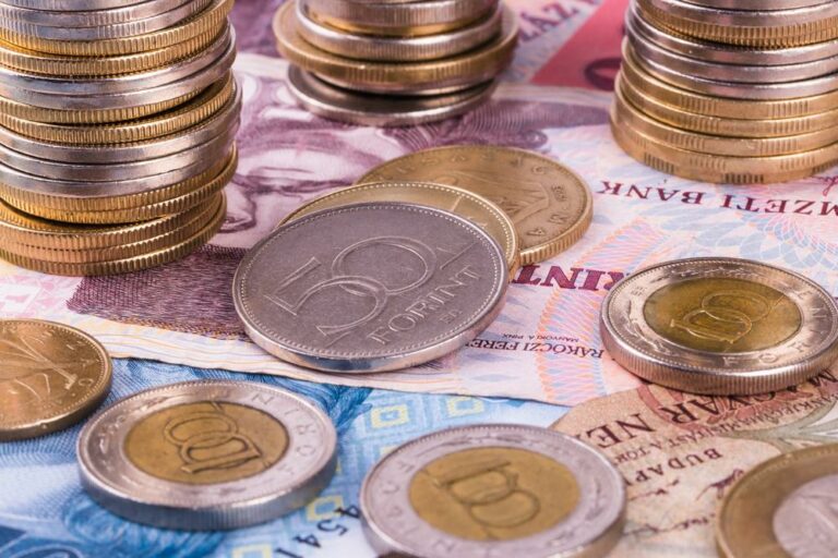 Hungarian forint coin issuance central bank wealth